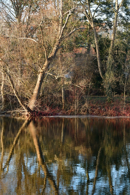 2026-01-08 Brandenburg an der Havel/Stadt/DSC_2386.JPG